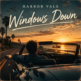 Windows Down cover